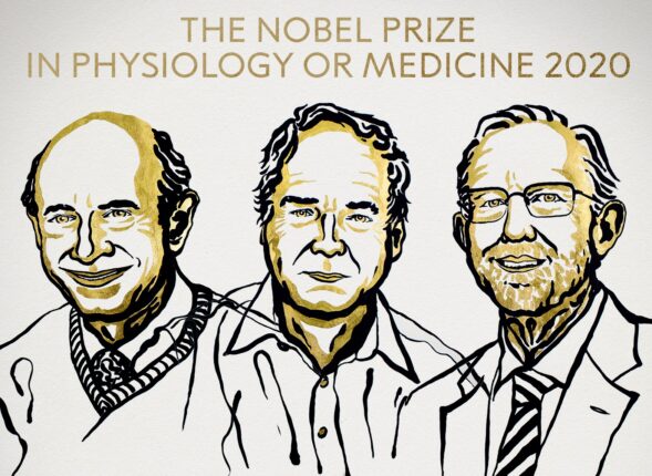 un disegno dei 3 premi nobel per la medicina 2020